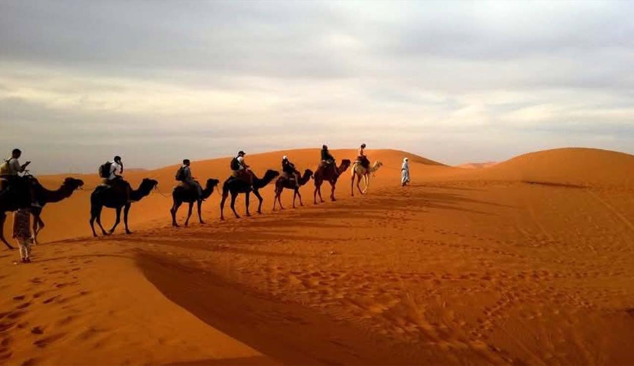 Camel Trekking Dubai